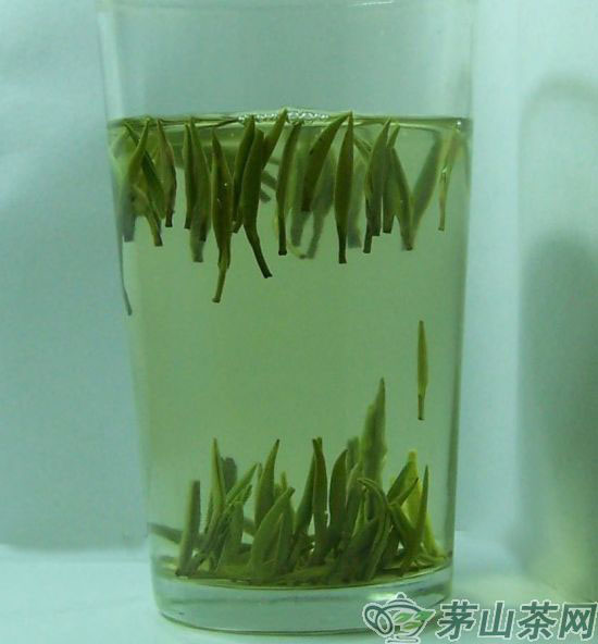 特级金坛雀舌冲泡图