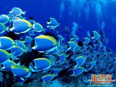 这两种形容皇塘旅行社都很贴切