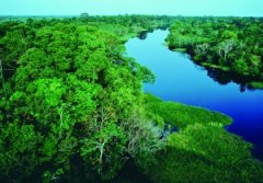 晨报记者 李小娟金坛阳光旅行社 实习记者 周瑶 相关新闻